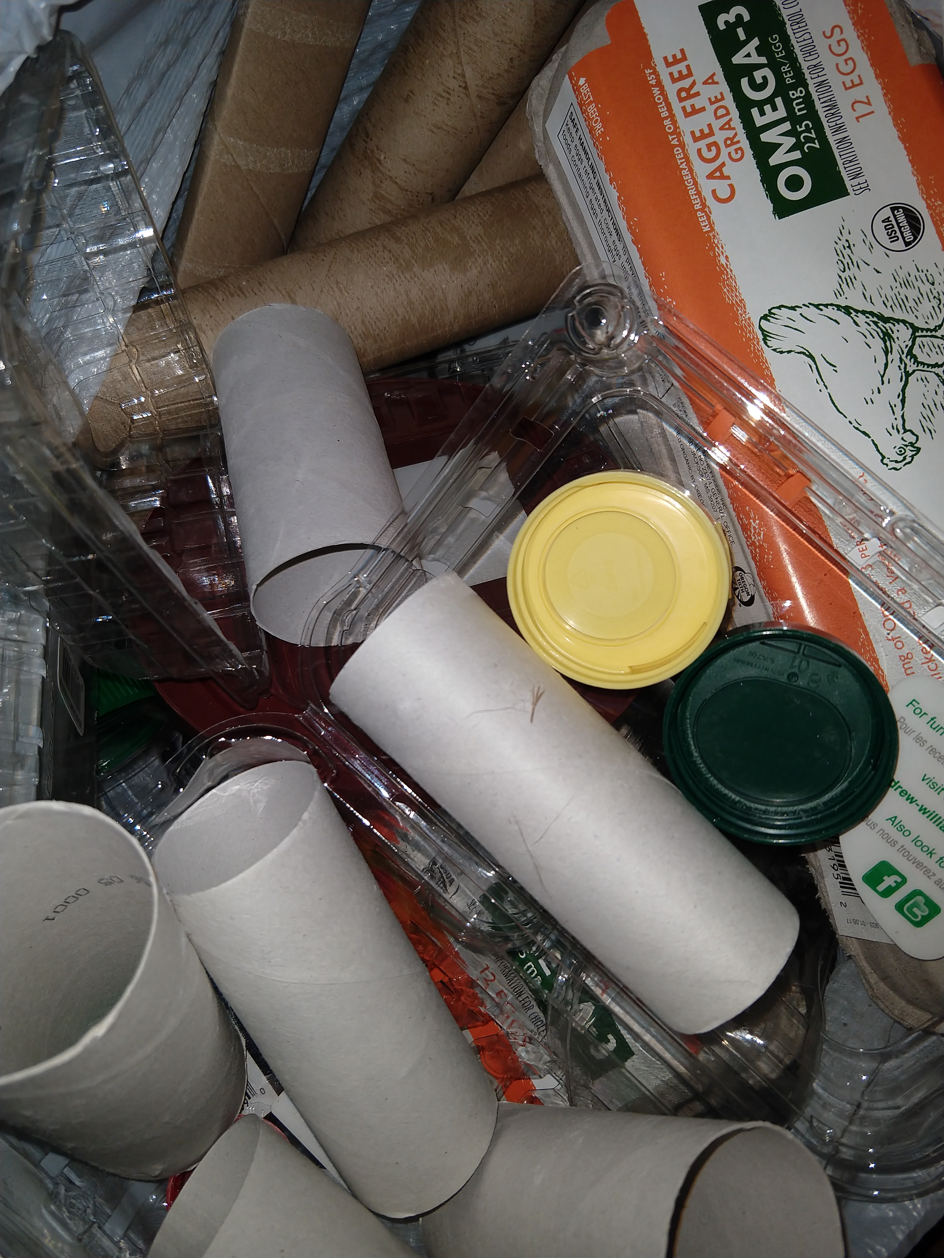 Example of recyclables, including empty paper tubes, produce cartons, egg carton, bottle caps